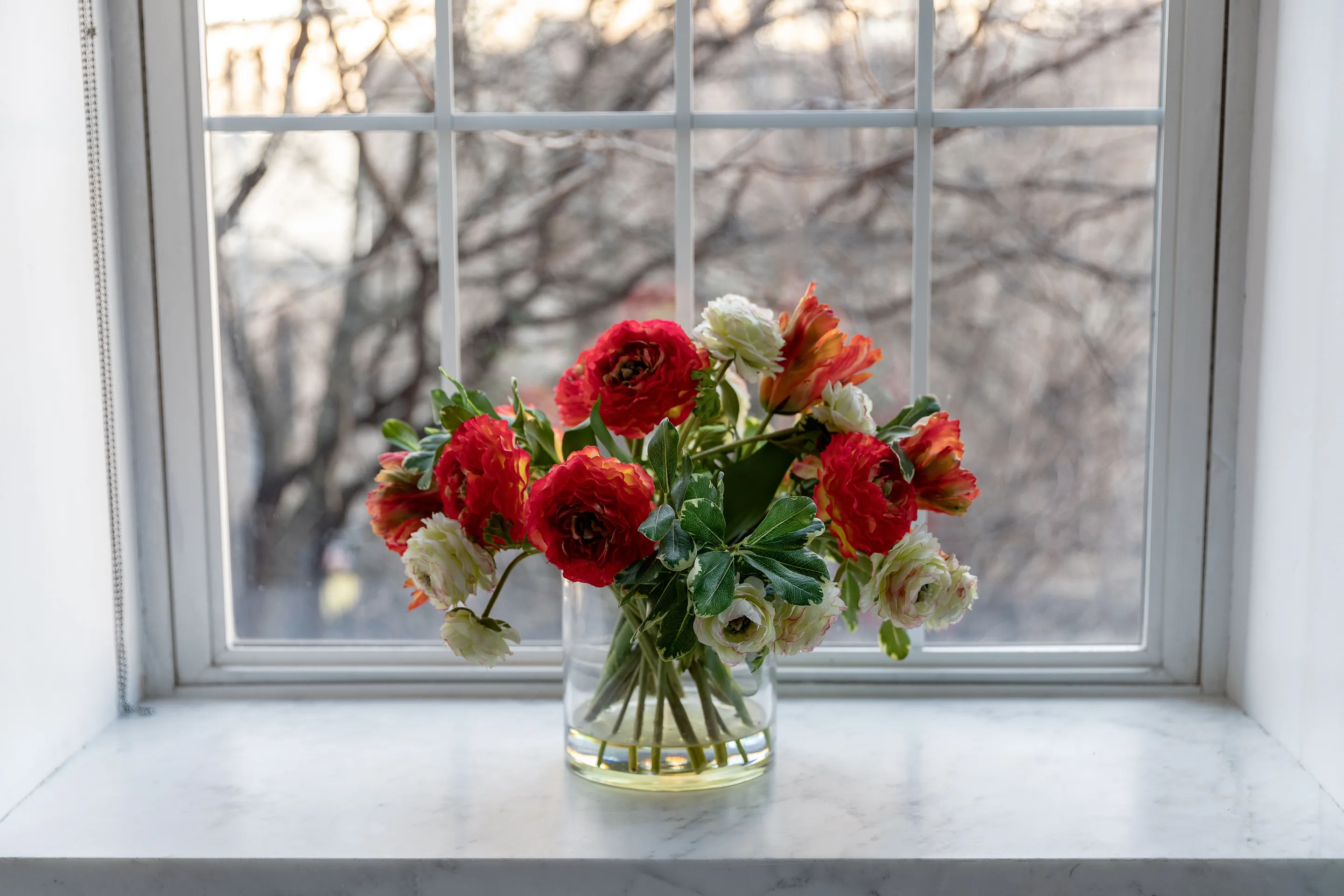 A vase of red and white ranunculus on a white veined stone window sill inside a white sash window